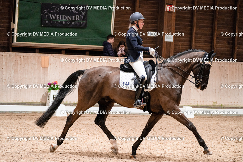 Dressur Tag 3-633 | dv-media-shop - Realisiert mit Pictrs.com