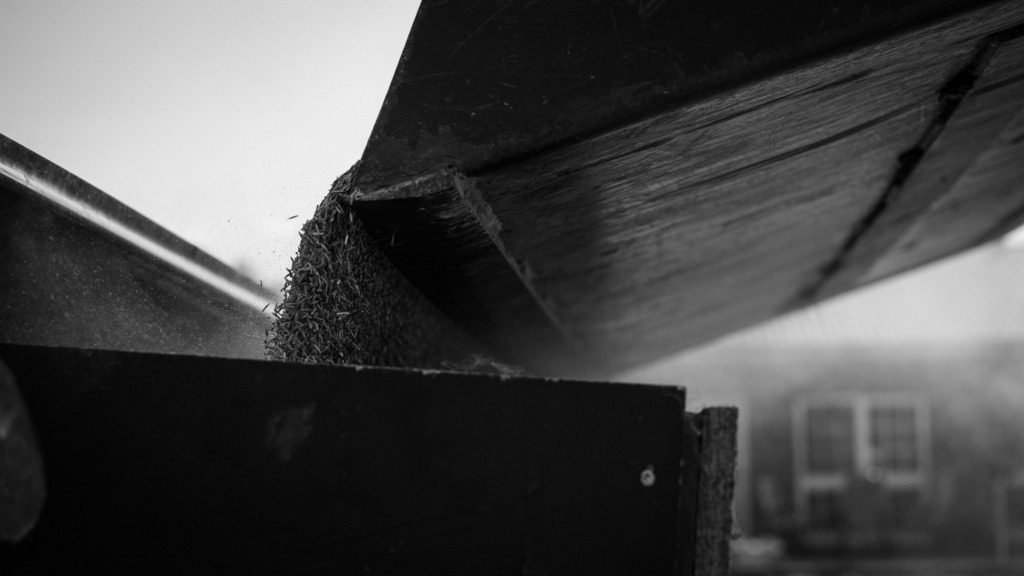 DSC_2573 | kaefersammler_roy - Realisiert mit Pictrs.com