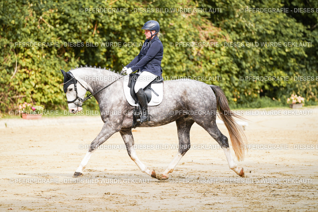 DSC01657 | Pferdegrafie