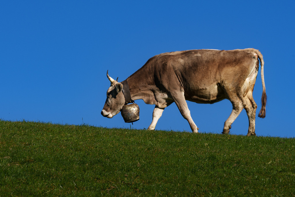 2022_11_13 A7406708 | bridgeman - Realisiert mit Pictrs.com