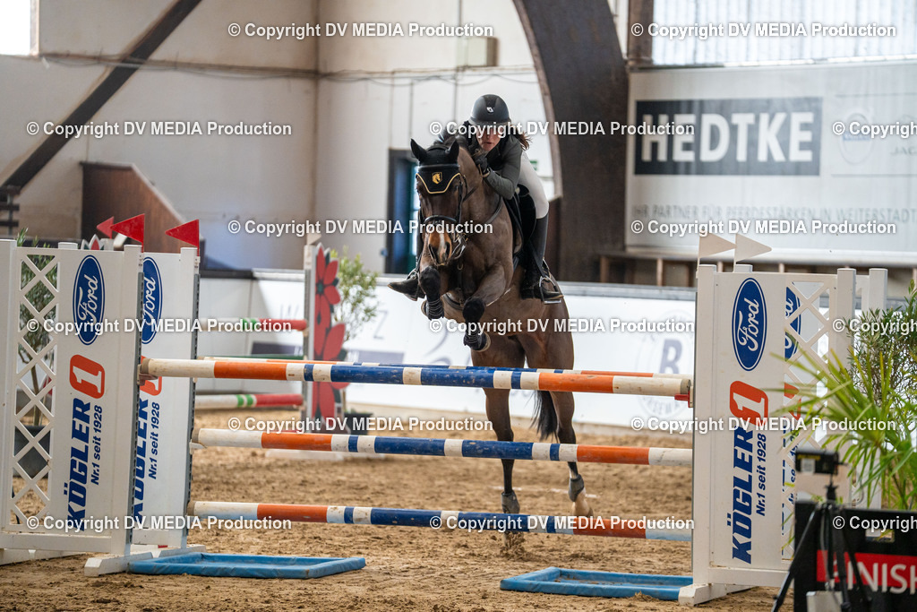 Kranichstein Tag 2-414 | dv-media-shop - Realisiert mit Pictrs.com