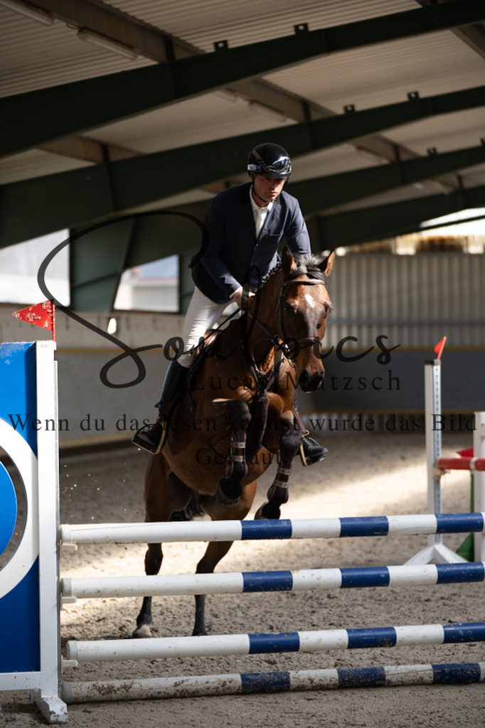 A7V08233 | Pferdefotograf