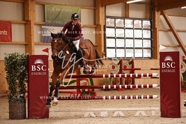 1J2A6040Juliane Weihs_ Cryptonit_ Kn191_ Glantz_ Hohen Wieschendorf | Foto- und Videografie für alles rund ums Pferd. Hochwertige Bilder und Videos vom Spring- und Dressurreiten, Voltigieren & mehr. Jetzt aktuelle Veranstaltungen und Preise im Shop ansehen. - Realisiert mit Pictrs.com