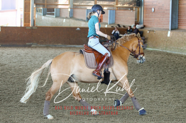 DKP42527 | Turniersportfotografie; Pferdefotografie; Dressurfotografie