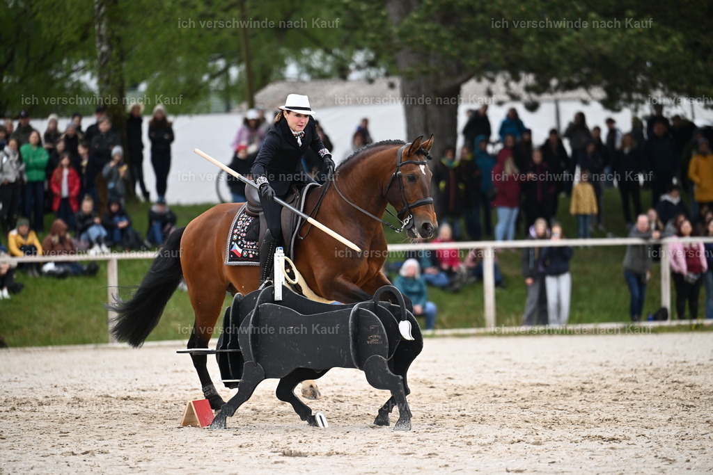 PI26_SP_Sara_Landvogt_226_4924.JPG | working equitationturnier fotograf videograf stoibphotography marixx film working equitation deutschland reitsport turnierfotografie eventfotografie equestrian events