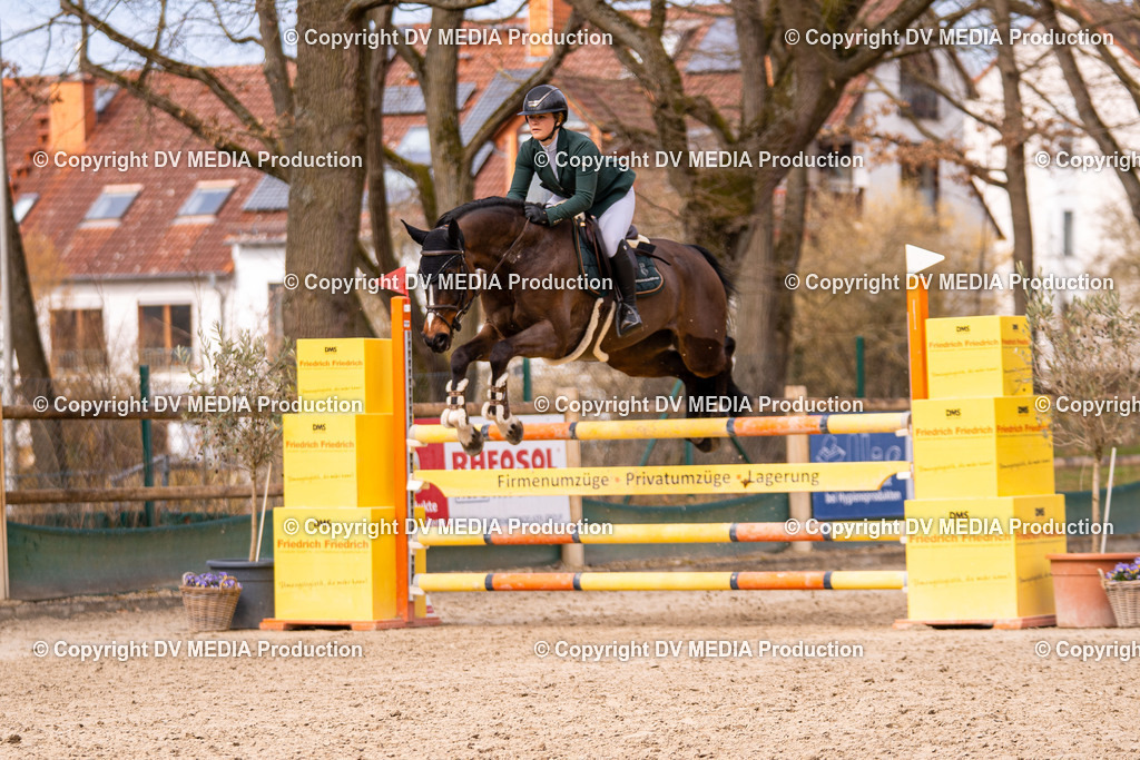 Kranichstein Tag 2-581 | dv-media-shop - Realisiert mit Pictrs.com