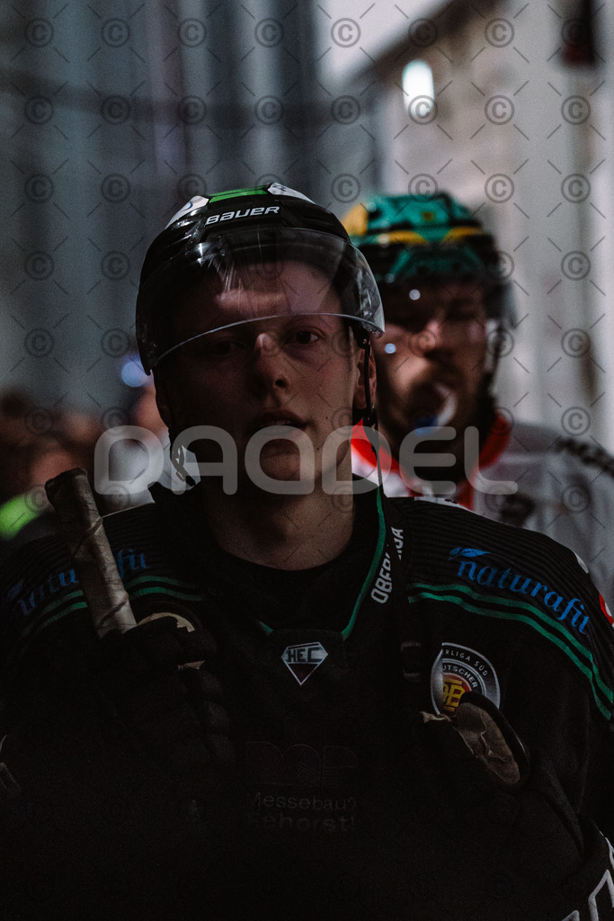 Alligators_vs_Toelz_15_02_2026-35 | Höchstadt Alligators Fotogalerie: Eishockey-Action aus Franken. Professionelle Spielfotos, Portraits & Stadionbilder zum Download. Jetzt entdecken! - Realisiert mit Pictrs.com