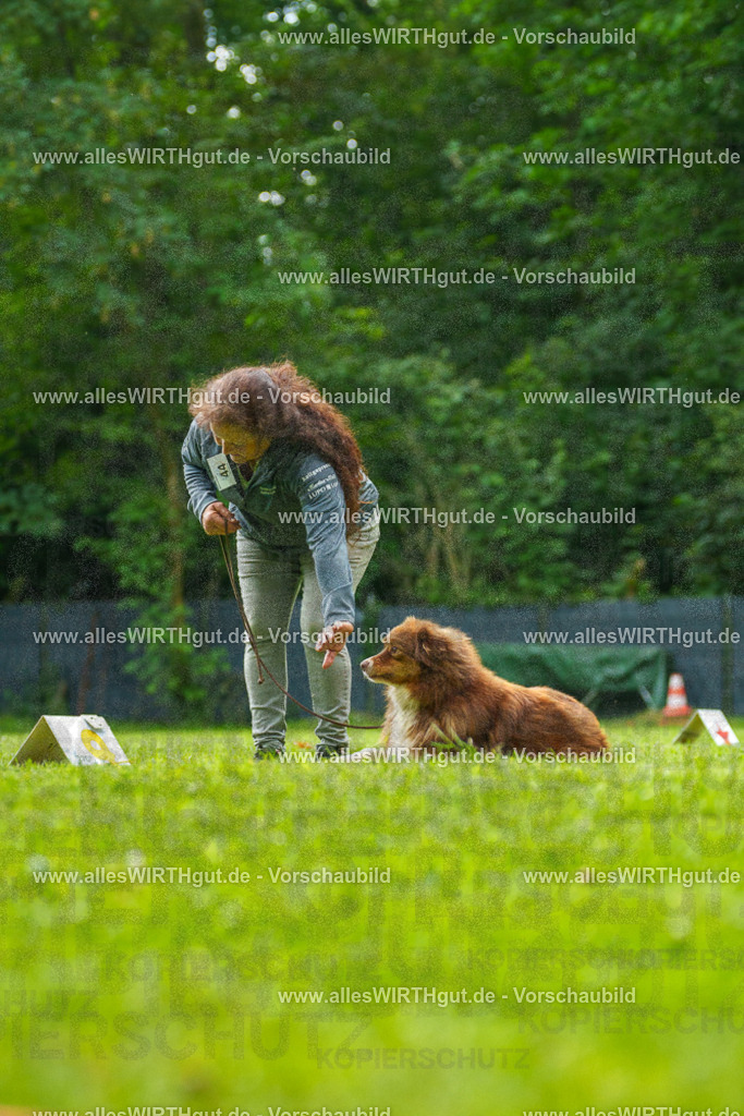 @allesWIRTHgut_Tierfotografie - www.allesWIRTHgut.de - 7R505110 | Professionelle Tierfotografie in Mönchengladbach von Daniel Wirth (allesWIRTHgut). Liebevolle & natürliche Bilder von Hunden & Katzen für unvergessliche Erinnerungen.