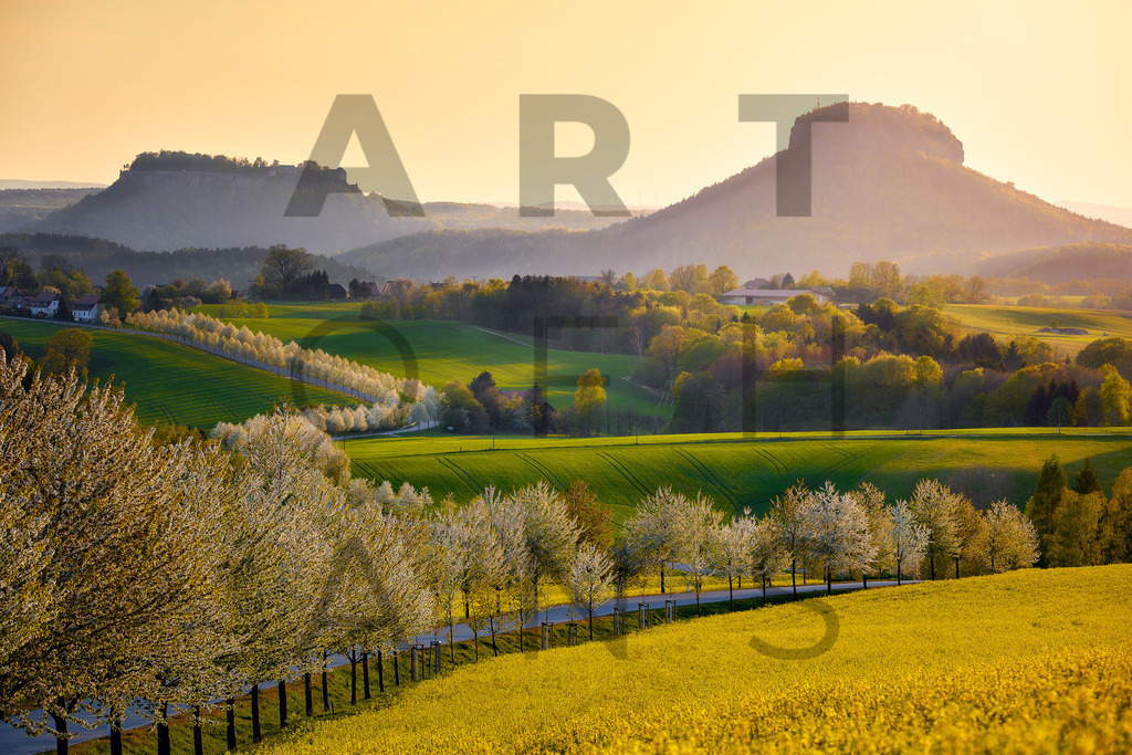 Ein Hans Fineart Original | Entdecke die Kunst von Hans Fineart - Fotografien für dein Zuhause. Verwandle deine Wände mit einzigartigen Kunstwerken und bringe die Schönheit der Welt in dein Leben. Bestelle jetzt und schaffe einen Ort der Inspiration und Eleganz.