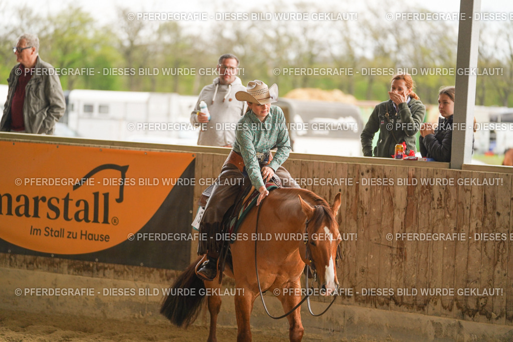 DSC05095 | Pferdegrafie