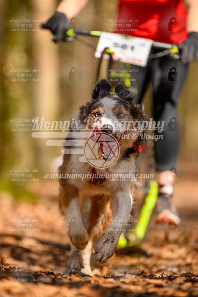 MompixPhotography_Habay2025_SA_SCO-60 | PayLife