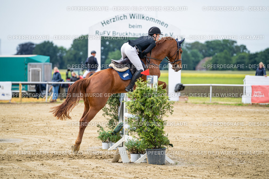 DSC04874 | Pferdegrafie