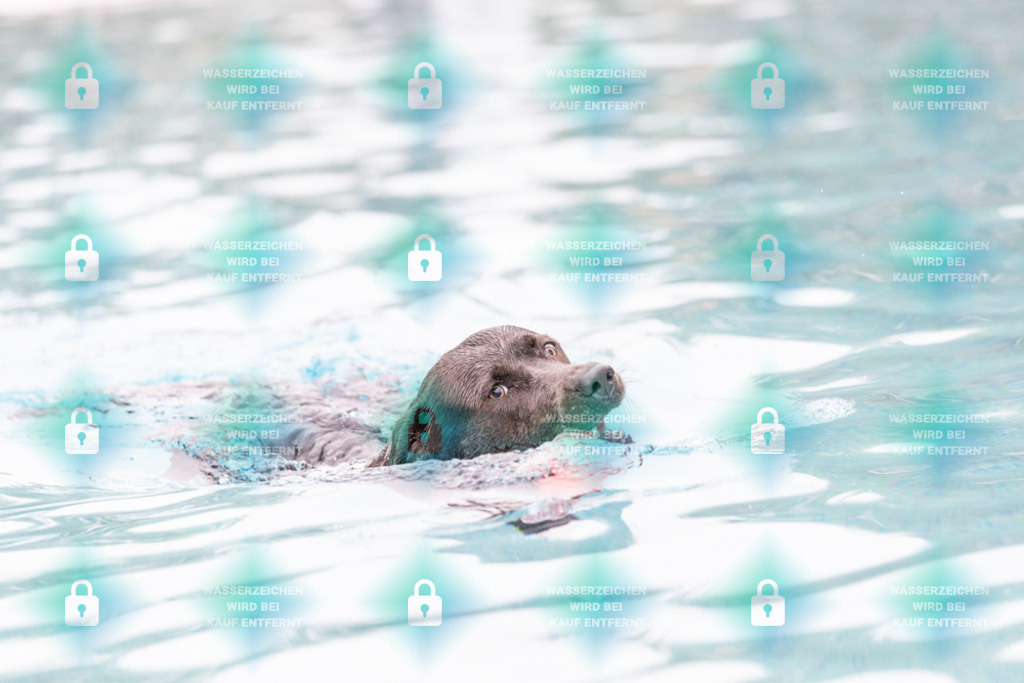 _HP_7196_1000o | HetPix, HetPix Fotodesign, Fotografie, Fotodesign, Webshop, Sportfotografie, Portraitfotografie, Onlineshop, Sportfotografie, Polch, Motorsportfotografie, Eventfotografie