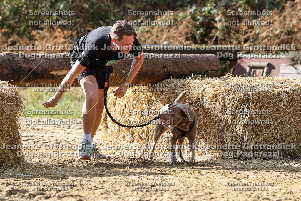 Dog Paparazzi - Strongdog 10-25-5716 | Dog Paparazzi Jeanette Grottendiek Fotografie & Videografie - Realisiert mit Pictrs.com