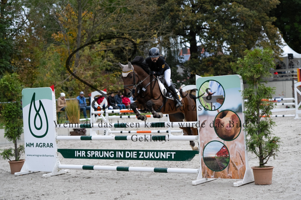 A7V08686 | Turnier/Reitfotograf