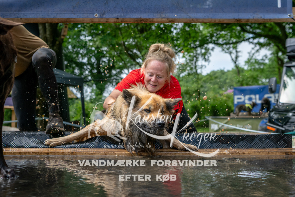 1114_ZZ93266 | kk-dogfotos