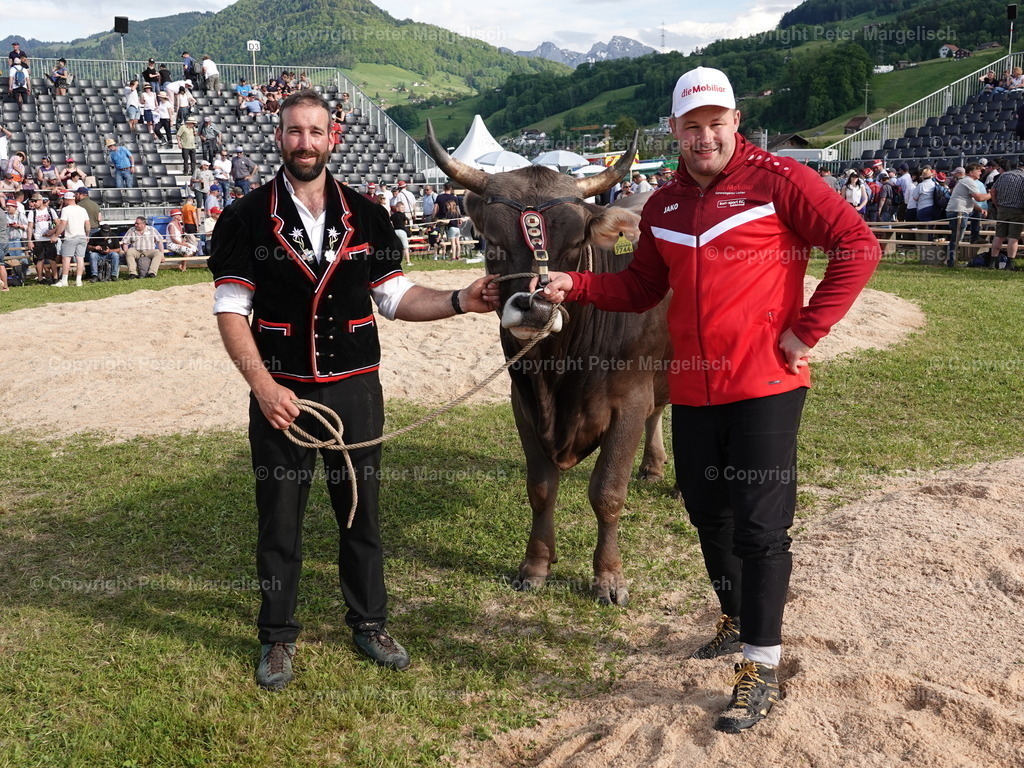 DSC06931 | Schwingen - Realisiert mit Pictrs.com