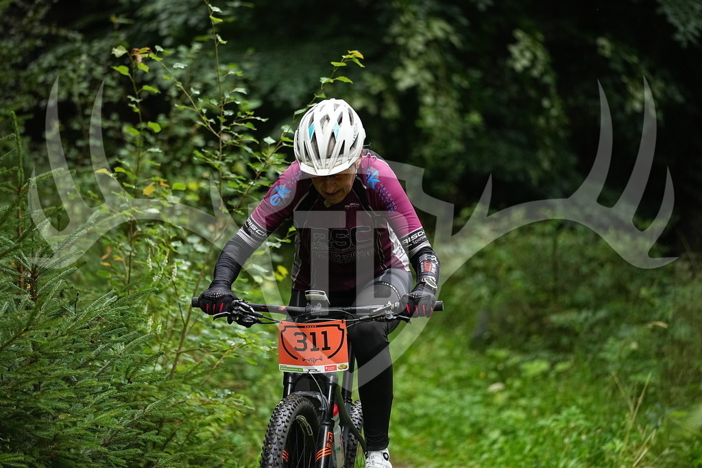 FC109971 | Fotogalerie der Treibjagd im Dunkelwald - Dein MTB Etappenrennen im Erzgebirge - Realisiert mit Pictrs.com