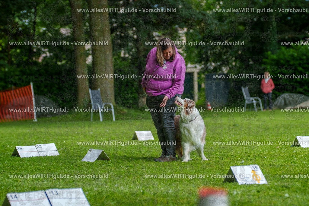 @allesWIRTHgut_Tierfotografie - www.allesWIRTHgut.de - 7R503302 | Professionelle Tierfotografie in Mönchengladbach von Daniel Wirth (allesWIRTHgut). Liebevolle & natürliche Bilder von Hunden & Katzen für unvergessliche Erinnerungen.