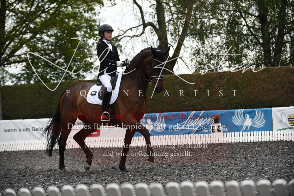 20230513_JK-Röhrsdorf-16-062 | Pferde- und Turnierfotografie in Westsachsen. Pferdeportraits, Auftragszeichnungen und intuitive Kunst.