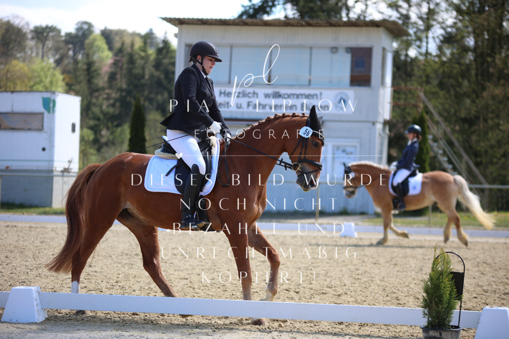 IMGT2208 | pl-fotografie