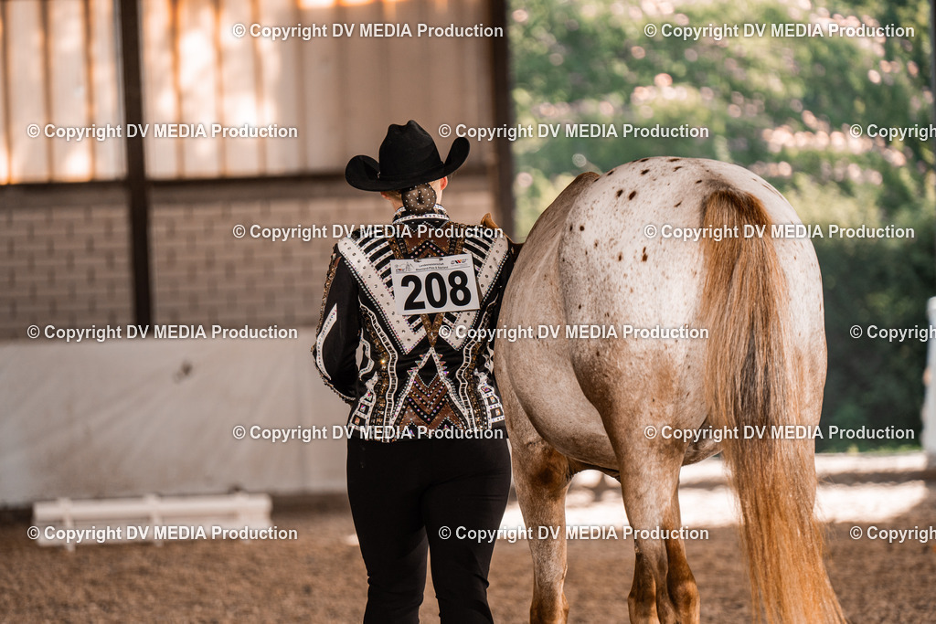 ZH100017 | dv-media-shop - Realisiert mit Pictrs.com