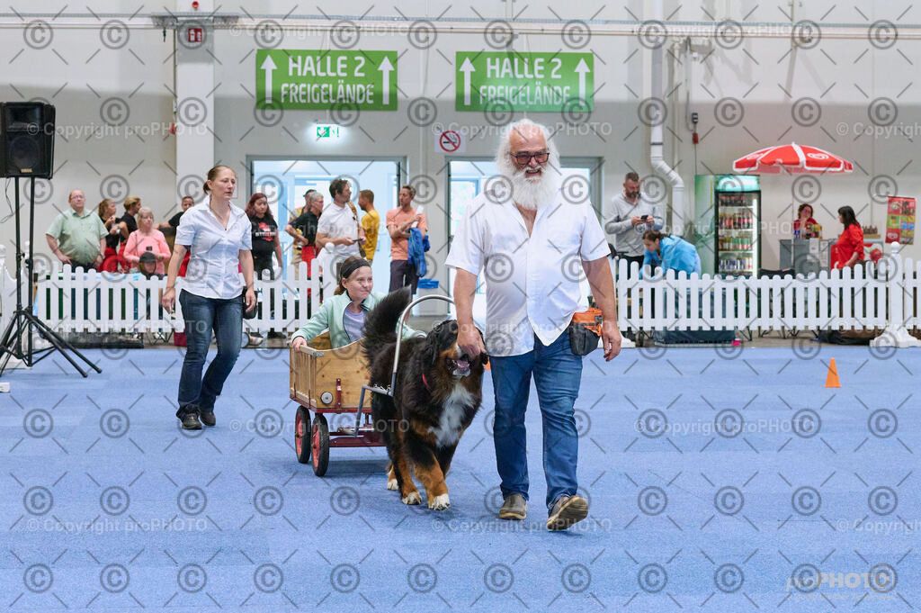 202406_ÖKV-IHA-Tulln24_DSC_4686 | proPHOTO - Realisiert mit Pictrs.com