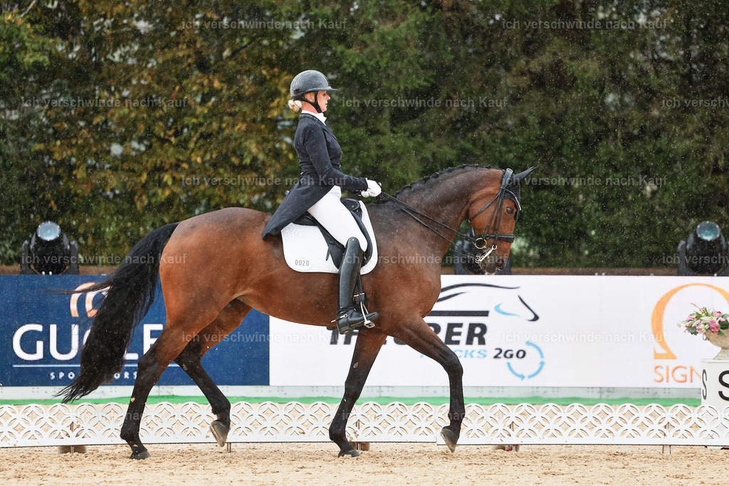 8_1-020-Klasse S_  -StoibPH-3984 | working equitationturnier fotograf videograf stoibphotography marixx film working equitation deutschland reitsport turnierfotografie eventfotografie equestrian events