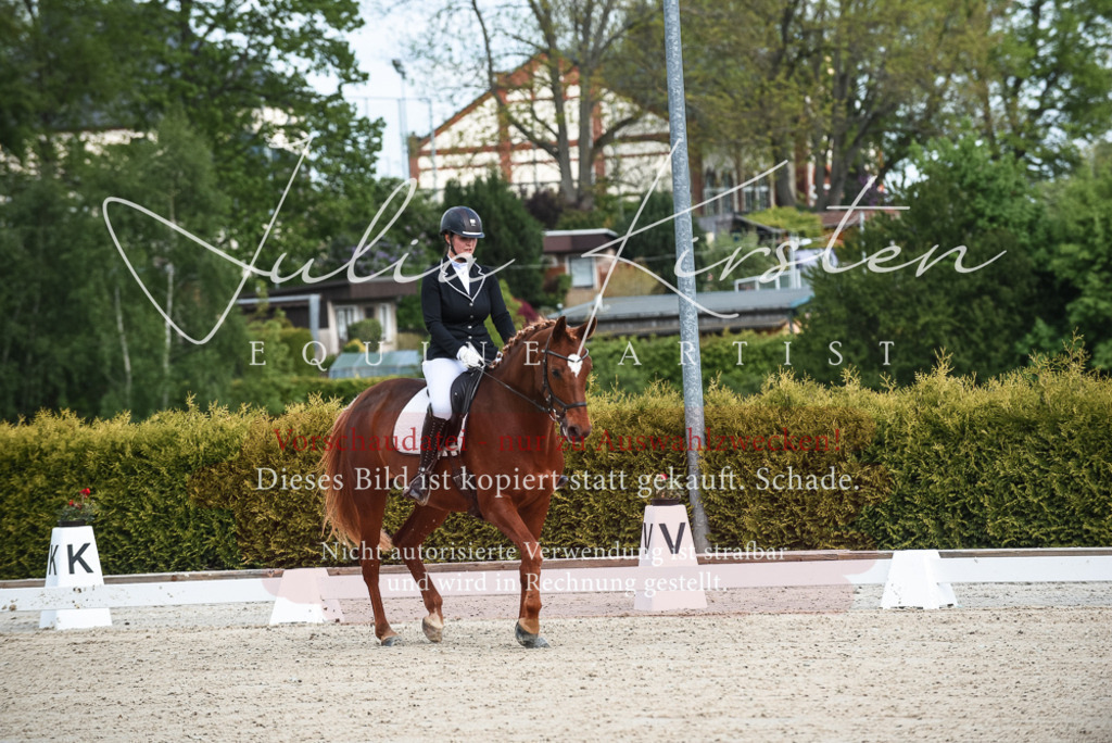 20230518_JK-Röhrsdorf-12-0007 | Pferde- und Turnierfotografie in Westsachsen. Pferdeportraits, Auftragszeichnungen und intuitive Kunst.