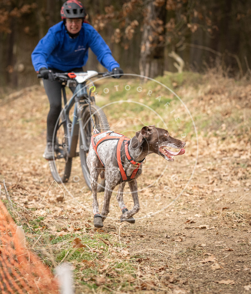 Pfotenfotografie_DV3A3319 | Hundefotografie, Tierfotograf, Pfotenfotografie, Fotoshooting Hund, Hunde Portrait, Hundesport, Hundeportraits, Heideshooting, Hunde, Sportfotograf, Hundefotograf, Turnierhundsport, THS,  - Realisiert mit Pictrs.com