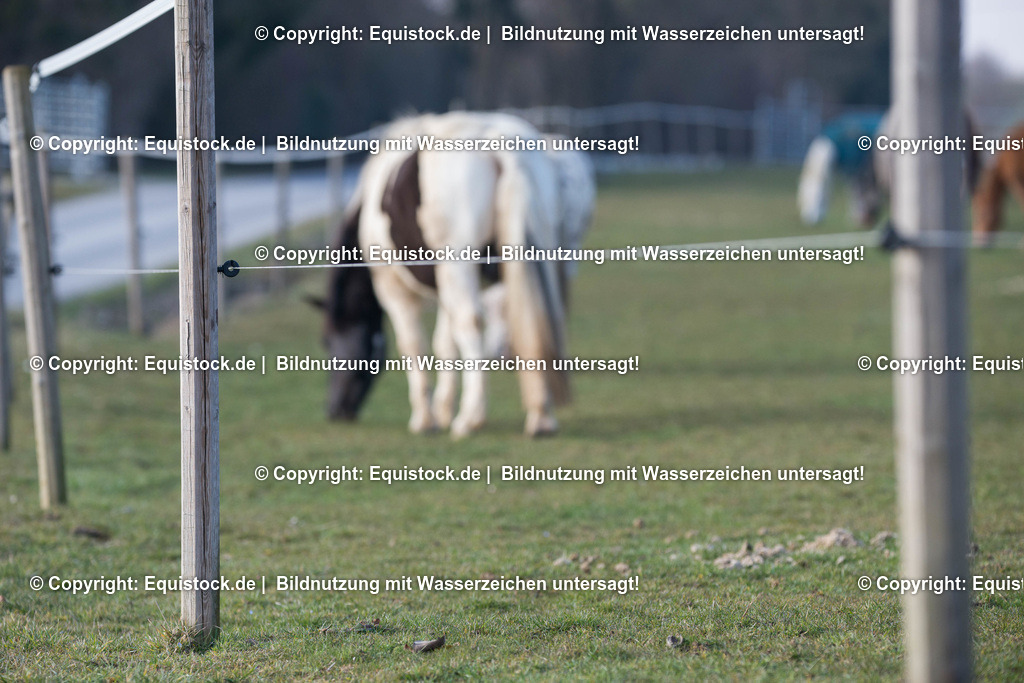 _TPD0961 | equistock