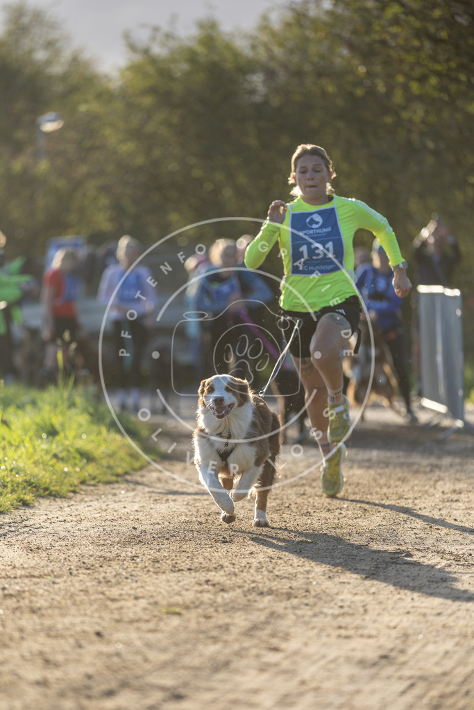 Pfotenfotografie.de_DV3A2877 | Hundefotografie, Tierfotograf, Pfotenfotografie, Fotoshooting Hund, Hunde Portrait, Hundesport, Hundeportraits, Heideshooting, Hunde, Sportfotograf, Hundefotograf, Turnierhundsport, THS, canicross - Realisiert mit Pictrs.com