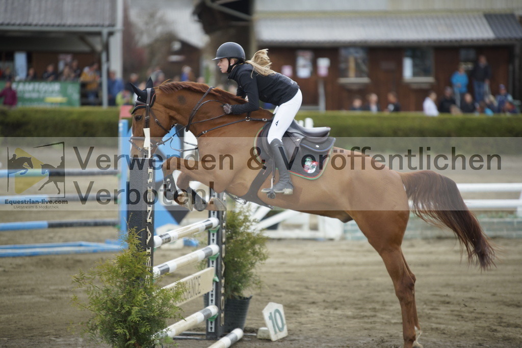 _DSC7907 | equestrian-live-com