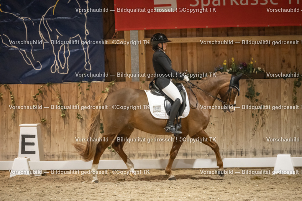 _D5A0879 | Emotionale Pferde- & People-Fotografie rund um Heidelberg, Leimen & Umgebung. Natürliche Fotos von Pferd, Mensch & Familie. Jetzt Termin sichern!