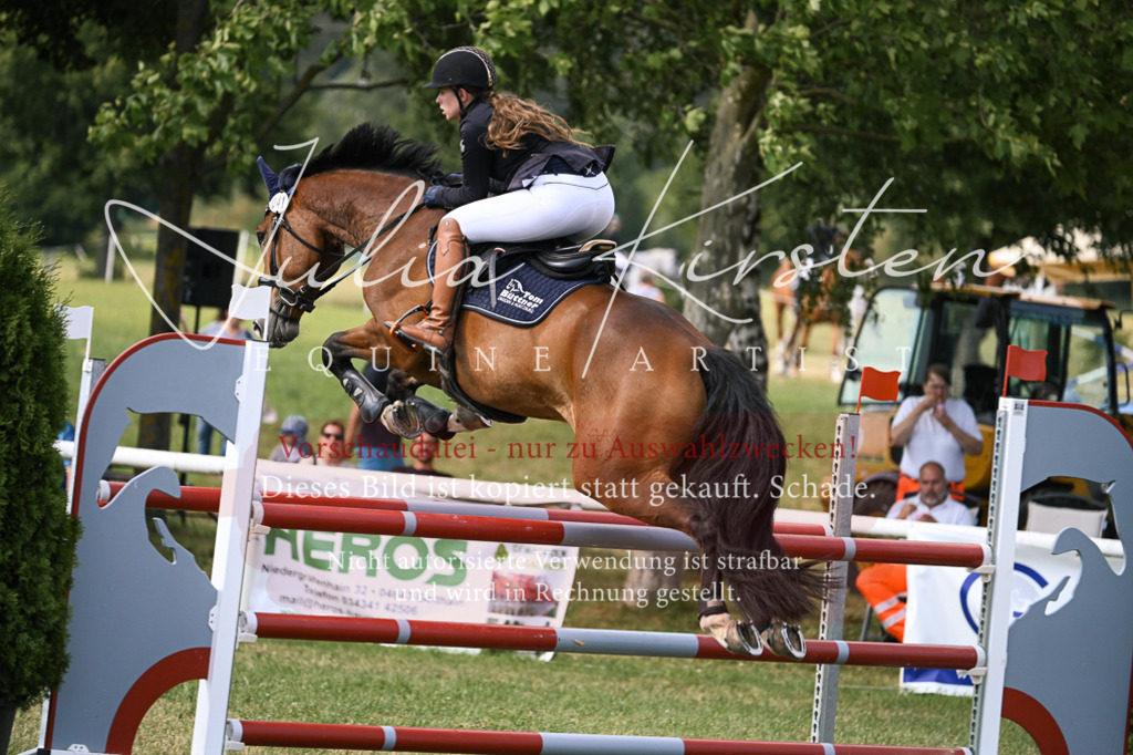 DSC_0914 | Pferde- und Turnierfotografie in Westsachsen. Pferdeportraits, Auftragszeichnungen und intuitive Kunst.