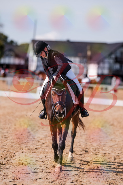 2026_10_03_Siefer-Hof_125859_Z81_50197160 | Professionelle Reitsport-, Turnier- und Eventfotografie von Robert Broda. Galerien mit ausgewählten und bearbeiteten Bildern direkt online ansehen und bestellen.