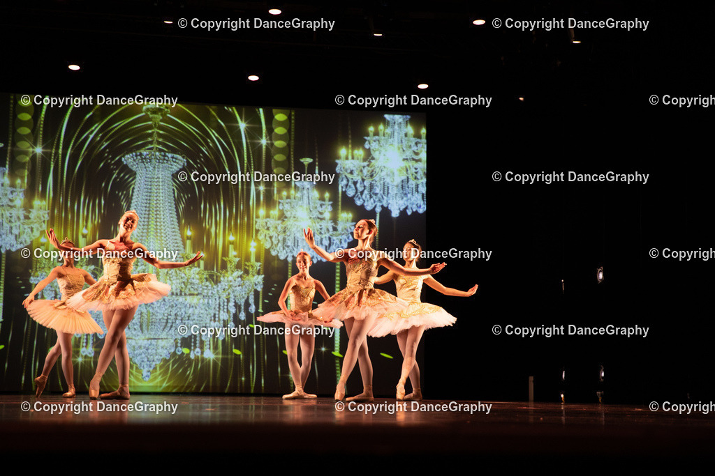 GPHY5362 | DanceGraphy - Realisiert mit Pictrs.com