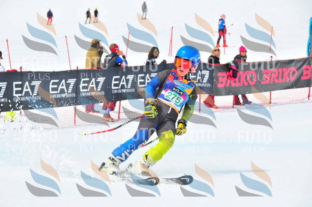 DSC_2561 | holidayphoto