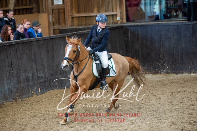 IMG_1846 | Turniersportfotografie; Pferdefotografie; Dressurfotografie