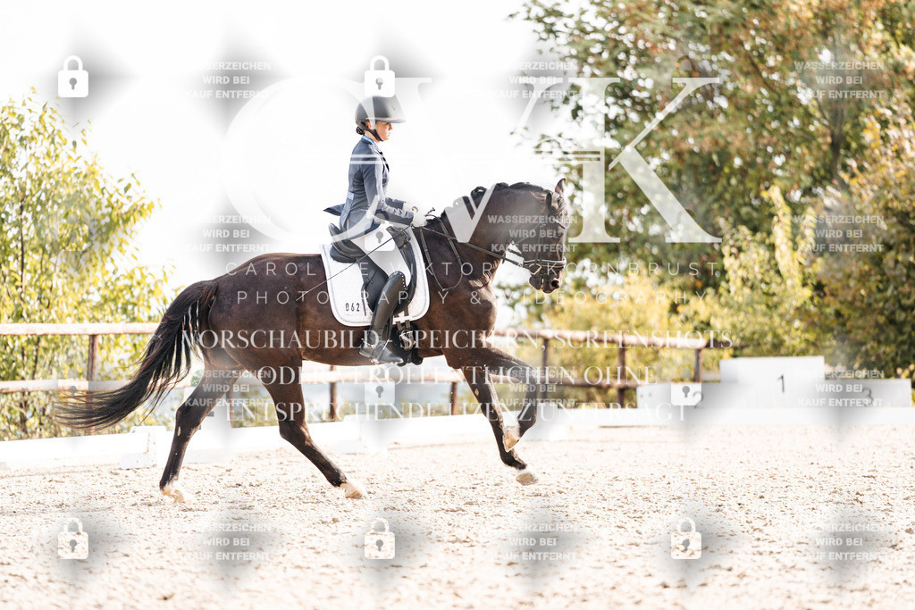CK901057 | Turnierfotografie Pferdefotografie Trier Rheinland-Pfalz Pferdesport Reitsport Tierfotografie Sportfotografie Pferdevideo Pferdevideografie Equestrianvideography equestrianphotography  - Realisiert mit Pictrs.com