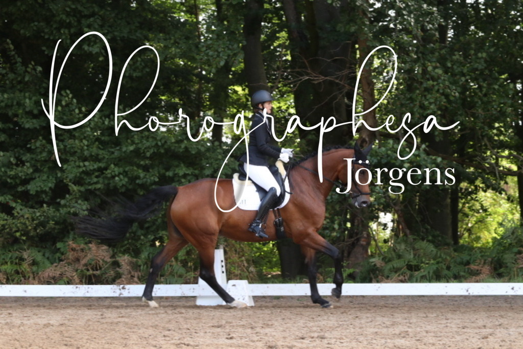 IMG_0357 | photographesa-joergens - Realisiert mit Pictrs.com