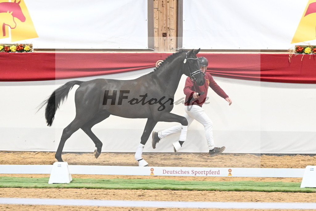 Kat.-Nr. 39 v. De Chirico_Schadock_3260276 | hf-fotografie - Realizzato con Pictrs.com