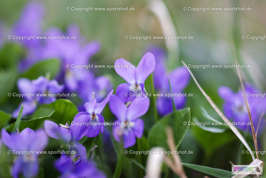 6R3A1669 | Celtic Warrior Dirth Run #celticwarriordirtrun #ocr #kidsrace #celtinis #sprint #wallhalla #dirtrun #donnerskirchen#celticwarriordirtruniscoming #celticwarrior #allout #battle #endurance #ultra #celticwarriorultra #yourpictrs #sportshot_your_pictrs