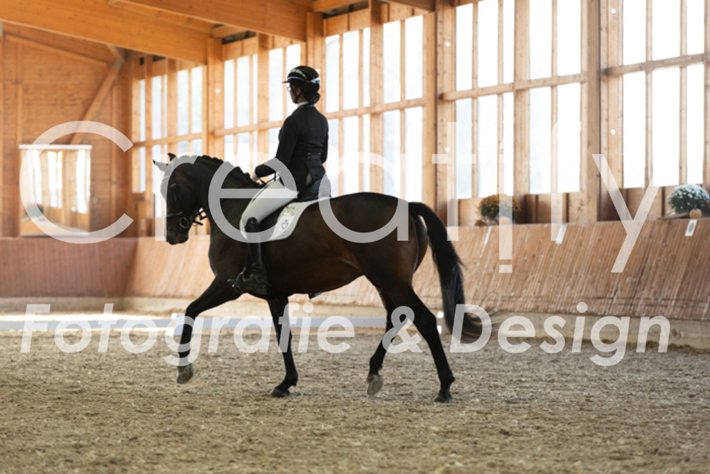 IMG_3702 | Creatify Fotografie