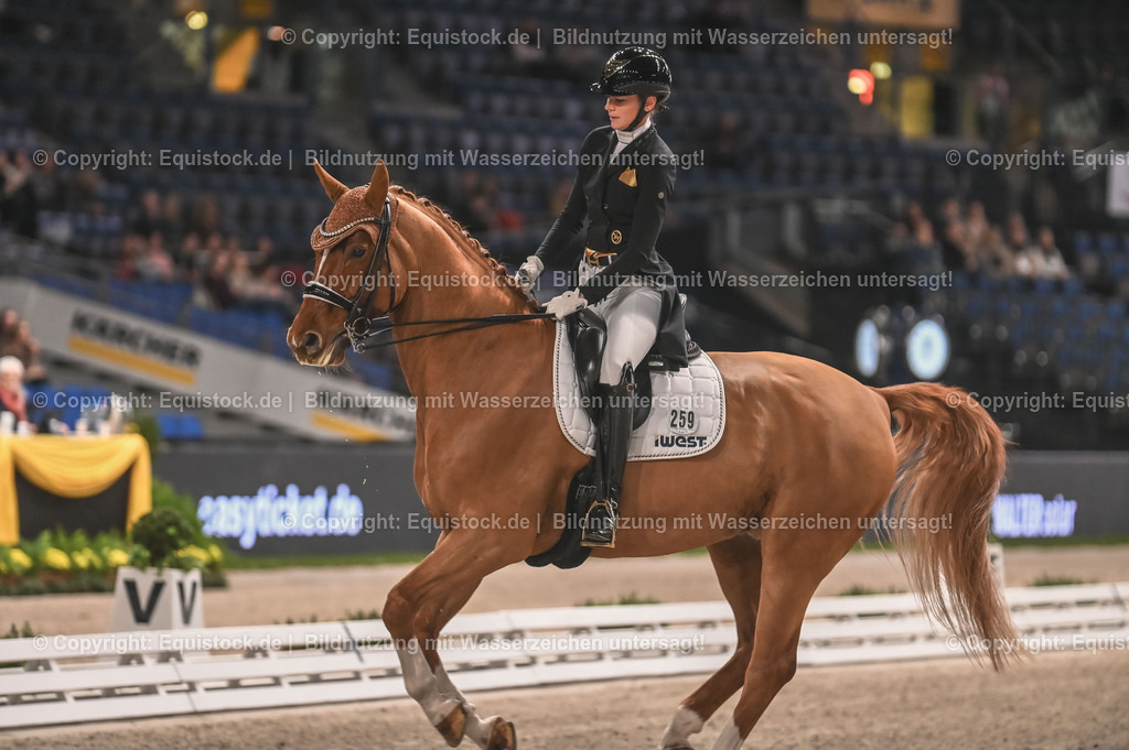 20231115_20_Dressur_Kl-S++_0233_TOMsPiC | Foto: Thomas Hartig