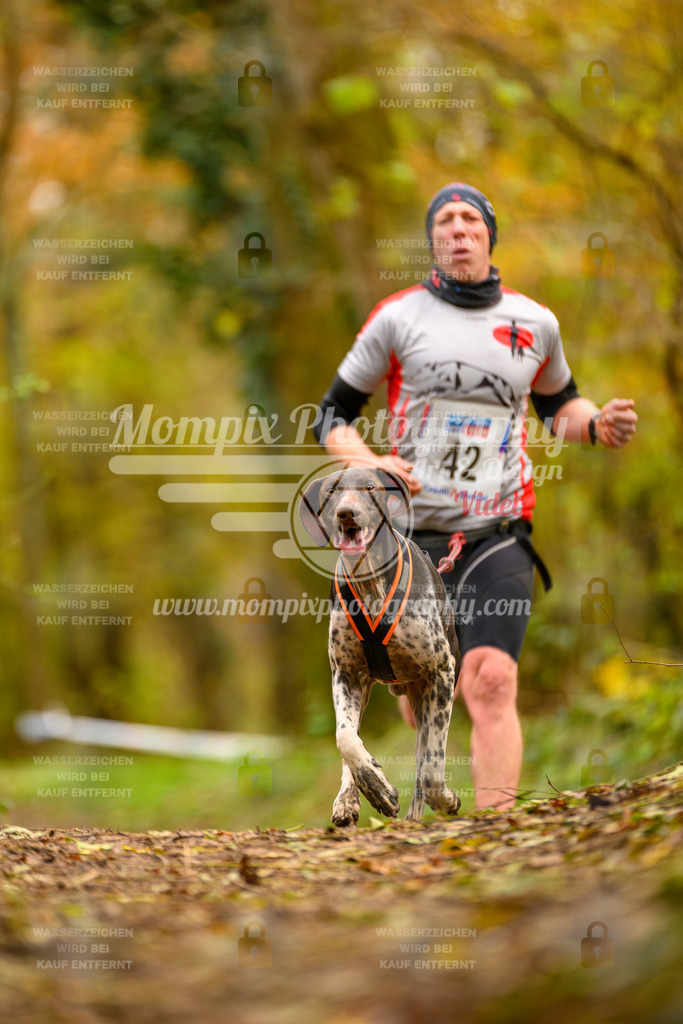 MompixPhotography_Bischwiller24_SA_Canicross-29 | PayLife