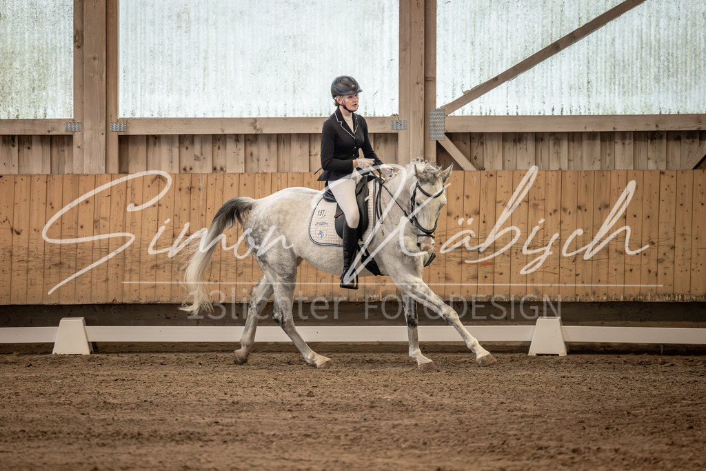 20251011-_3LI5713 | Tierfotografie Pferde, Hunde, Katzen, Haustiere.
Turnierfotografie Reitturniere, Reiten, Springreiten, Dressur in Hanau, dem Main-Kinzig-Kreis und dem Rhein-Main- Gebiet um Frankfurt