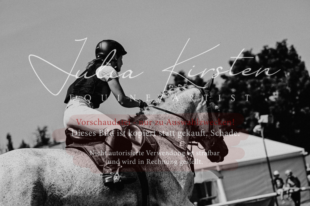 DSC_0309 | Pferde- und Turnierfotografie in Westsachsen. Pferdeportraits, Auftragszeichnungen und intuitive Kunst.