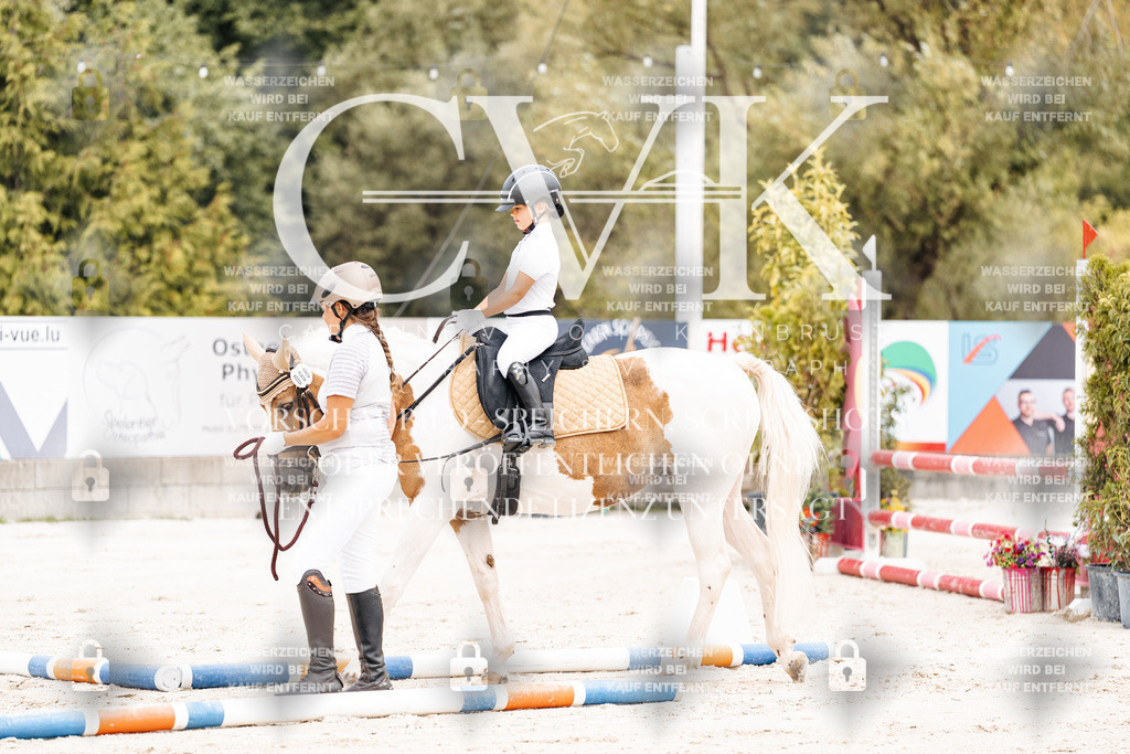 CK907187 | Turnierfotografie Pferdefotografie Trier Rheinland-Pfalz Pferdesport Reitsport Tierfotografie Sportfotografie Pferdevideo Pferdevideografie Equestrianvideography equestrianphotography  - Realisiert mit Pictrs.com