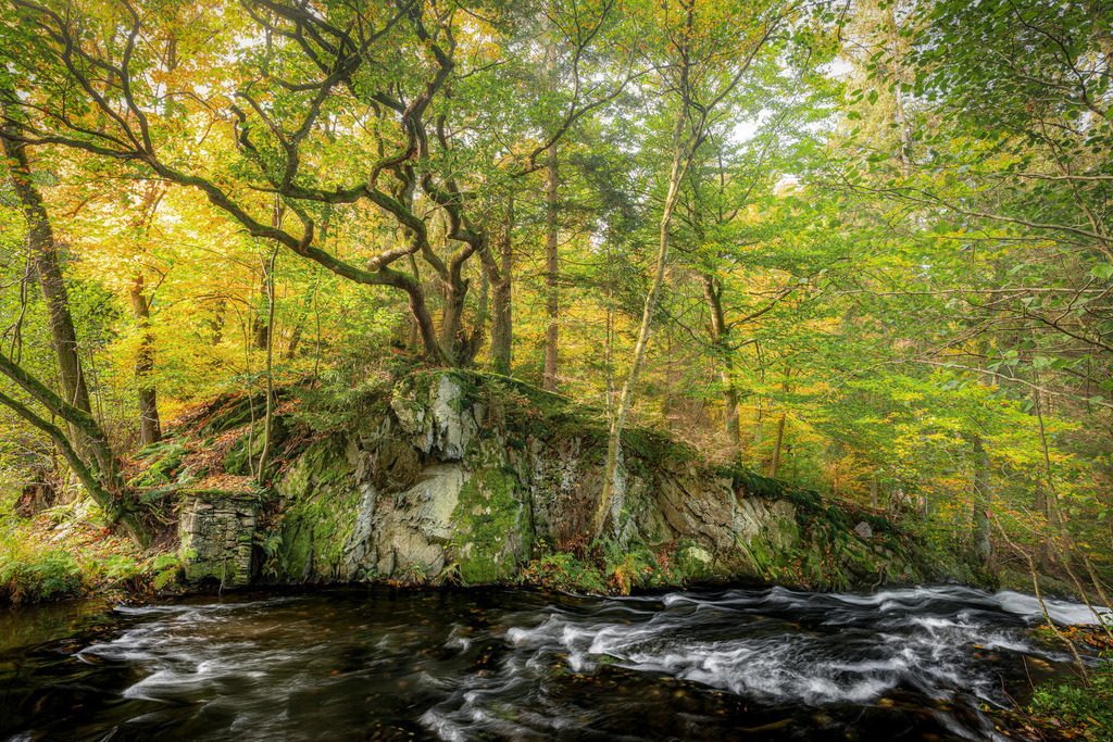 Selke im Herbst | Wandbilder - Florian Läufer - Realisiert mit Pictrs.com